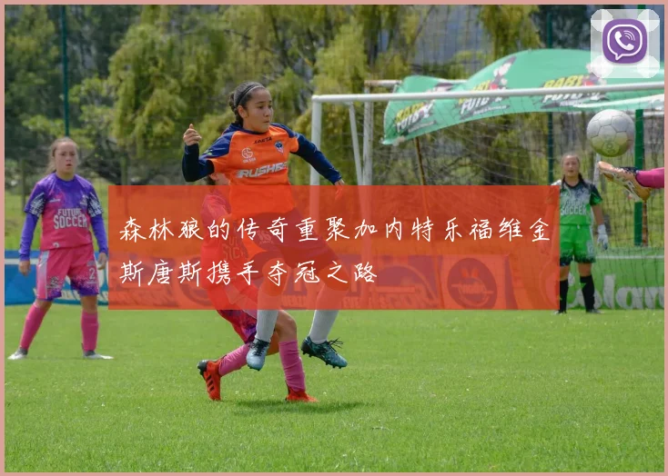 森林狼的传奇重聚加内特乐福维金斯唐斯携手夺冠之路